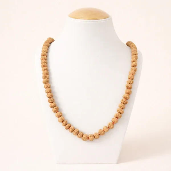 10 Mukhi Rudraksha Jaap Mala Super – Vishnu's Protective Shield (108+1 Beads)