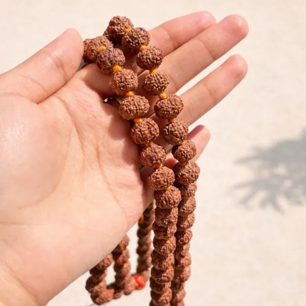 Original 7 Mukhi Rudraksha Jaap Mala 108+1 beads held in hand showing actual size - Suyagya