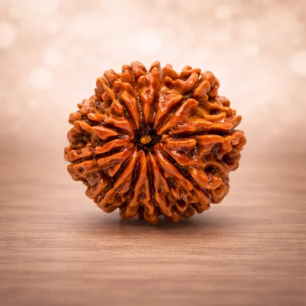 Original 11 Mukhi Rudraksha from Nepal with eleven clear natural mukhi lines - Suyagya