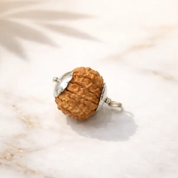 10 Mukhi Rudraksha Premium— Lord Vishnu's Bead for Complete Nine-Planet Protection