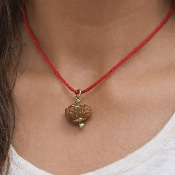 13 Mukhi Rudraksh Super — Kamadeva's Bead for Attraction, Charm and Desire Fulfillment