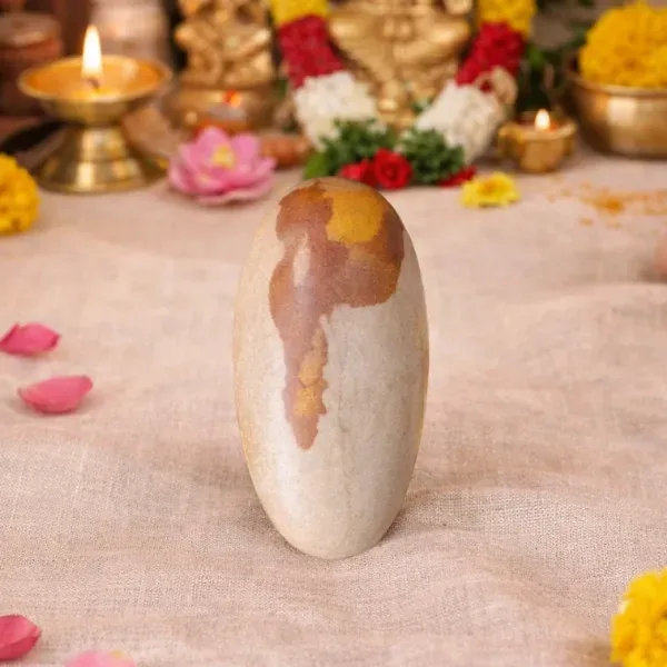Original Narmadeshwar Shivling stone natural tilak Narmada river — Suyagya India