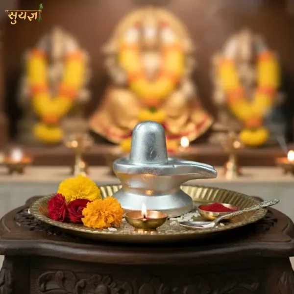 Parad Shivling Big original solidified mercury Lord Shiva home mandir | Suyagya