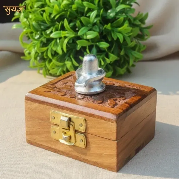 Parad Shivling Small original solidified mercury Lord Shiva home mandir | Suyagya