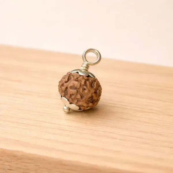 7 Mukhi Rudraksha super— Goddess Mahalakshmi's Bead for Financial Stability and Lasting Prosperity