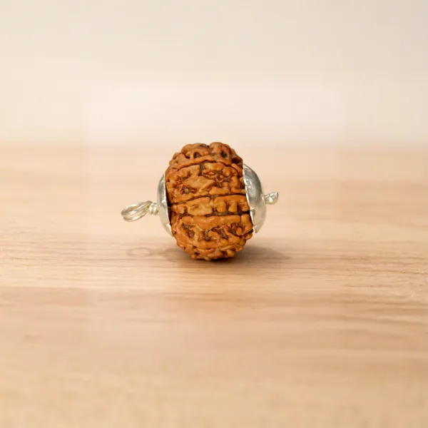 9 Mukhi Rudraksha Premium — Maa Durga's Strongest Protection in a Large Nepal Bead