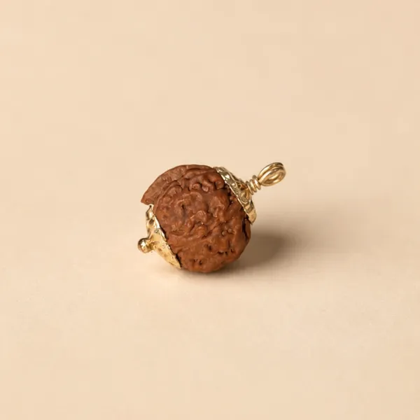 Original Ganesh Rudraksha Natural Trunk Shape Nepal Certified गणेश रुद्राक्ष - Suyagya India