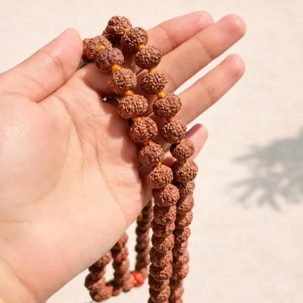 Original 7 Mukhi Rudraksha Jaap Mala 108+1 Beads Held in Hand सात मुखी रुद्राक्ष माला - Suyagya India