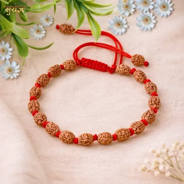 Original 2 Mukhi Rudraksha Bracelet Red Thread Ardhanarishwar दो मुखी रुद्राक्ष ब्रेसलेट - Suyagya India