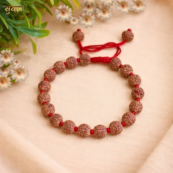 Original 6 Mukhi Rudraksha Bracelet Red Thread Kartikeya Bead छह मुखी रुद्राक्ष ब्रेसलेट - Suyagya India