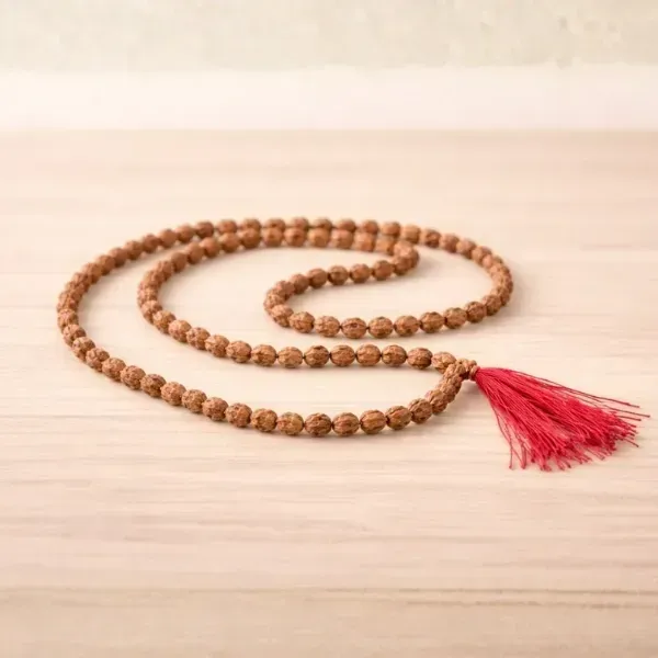 Original 2 Mukhi Rudraksha Jaap Mala 108+1 Beads Nepali दो मुखी रुद्राक्ष जाप माला - Suyagya India