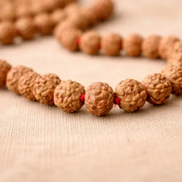 Original 6 Mukhi Rudraksha Jaap Mala 108+1 Beads Nepal Natural Texture छह मुखी रुद्राक्ष माला - Suyagya India