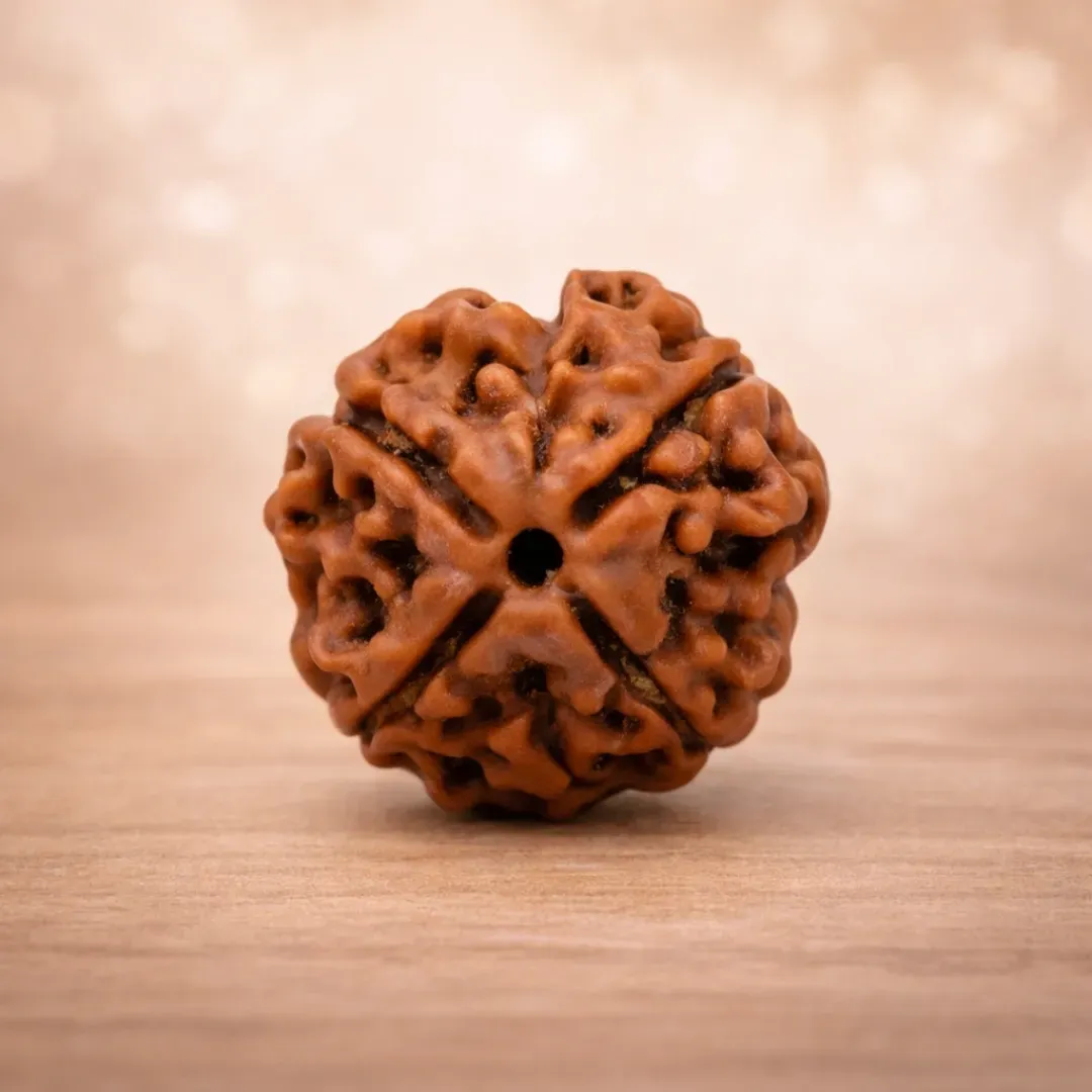 4 Mukhi Rudraksha Super Quality —The Bead of Brahma, Knowledge and Creative Intelligence
