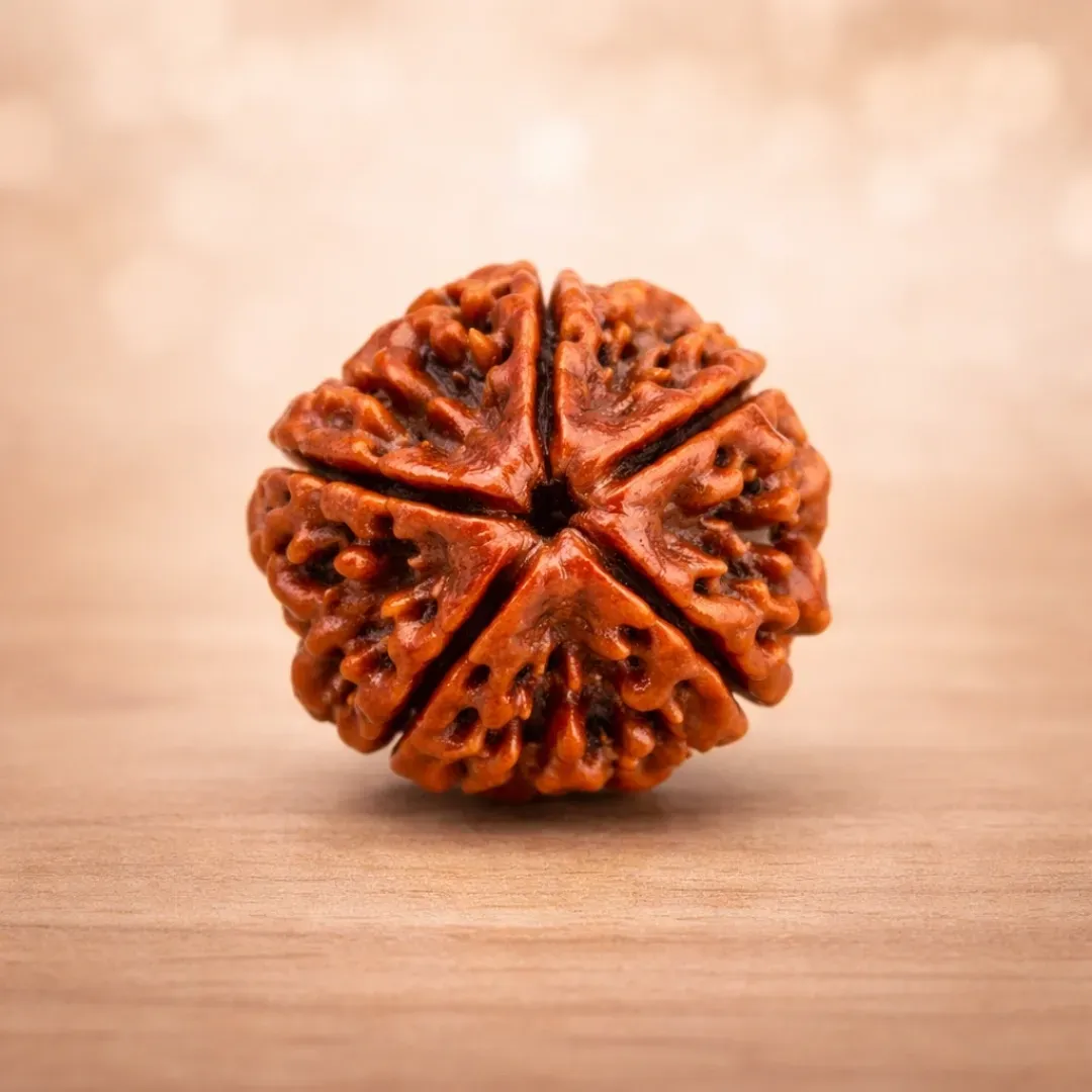 Original Nepal 5 Mukhi Rudraksha Bead (Panch Mukhi) – Lab Certified