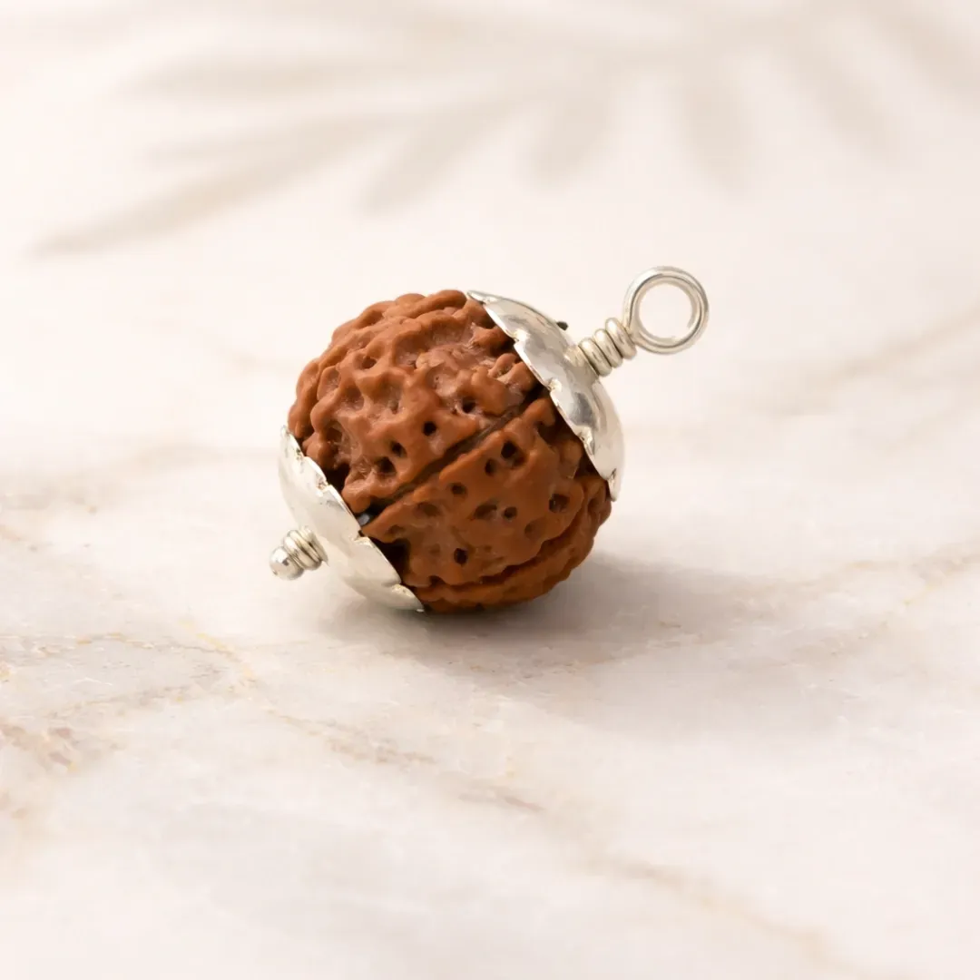 7 Mukhi Rudraksha Premium — Larger Nepal Bead for Stronger Financial Stability