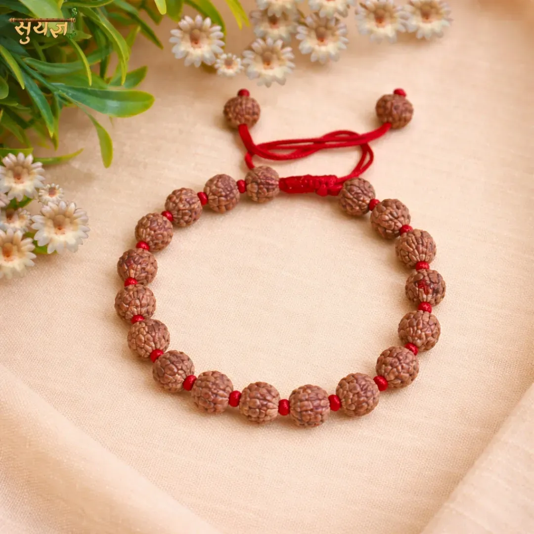 6 Mukhi Rudraksha Bracelet – Super Quality | For Willpower & Focus